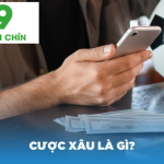 processed thumb cuoc xau la gi